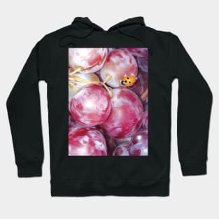 LadyBug on Grapes Hoodie